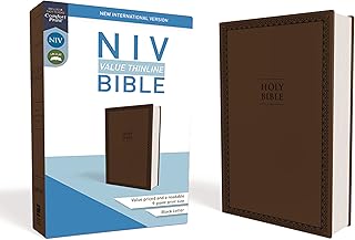 NIV Value Thinline Bible [Brown]