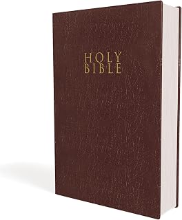 NIV Gift And Award Bible Red Letter Edition [Burgundy]
